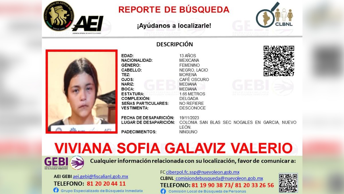 Ficha de desaparición de Viviana Sofía Galaviz / Especial