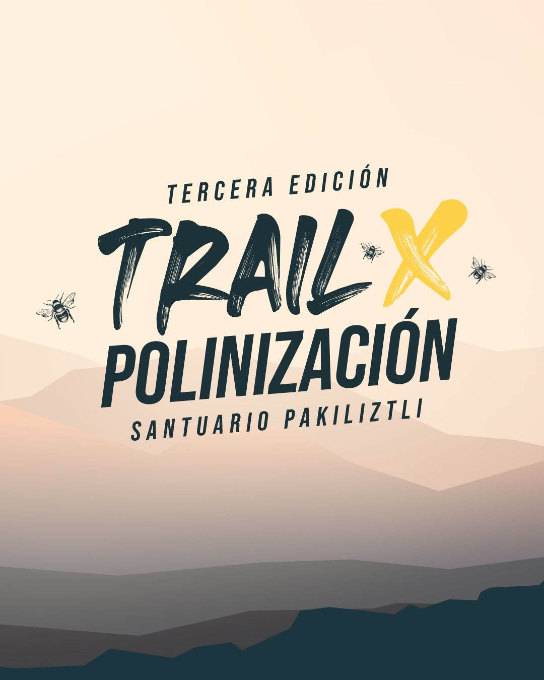 El objetivo de la carrera fue dar a conocer la importancia del  santuario de abejas que se encuentra dentro de la ex hacienda El Coporillo
