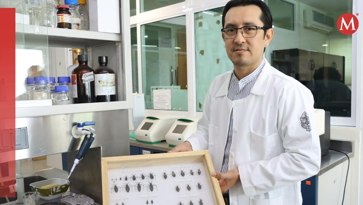 Avance prometedor: Vacuna terapéutica para la enfermedad de Chagas en fase clínica |
