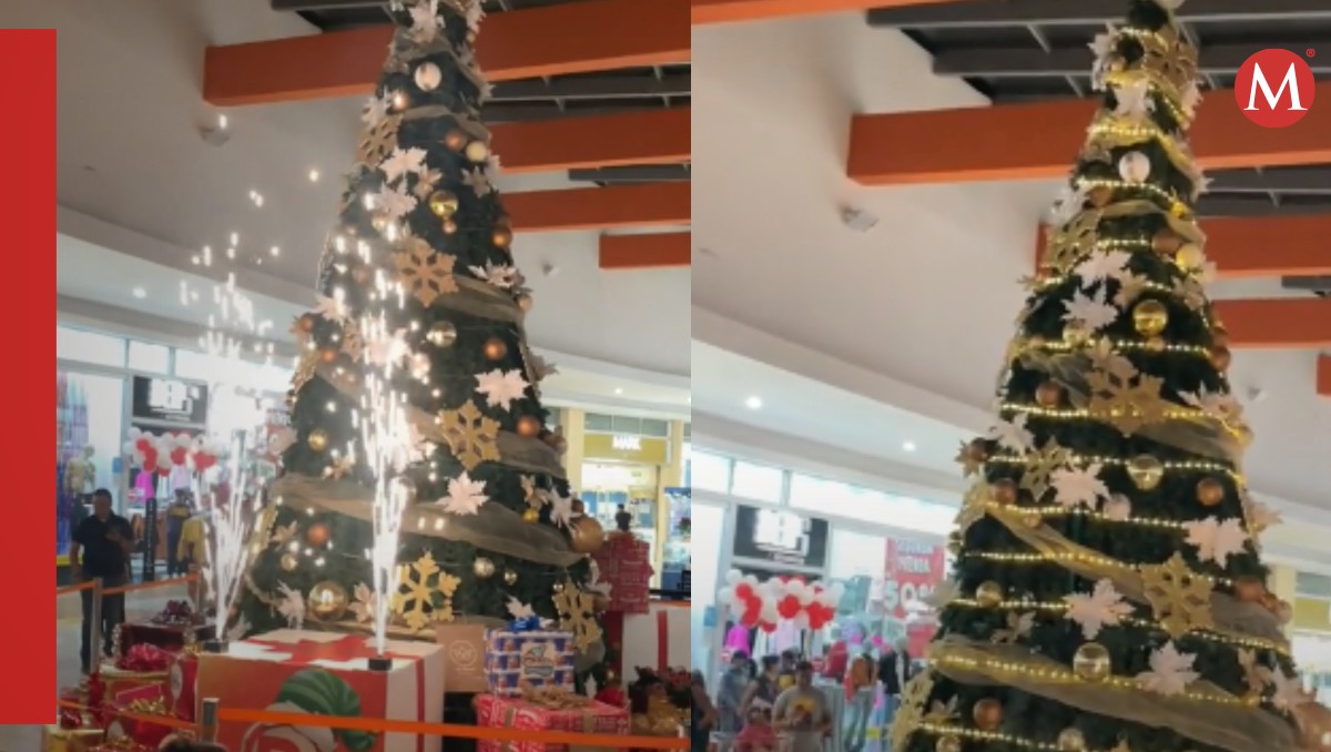El pino navideño parece que no deslumbró a muchos. Foto: Especial