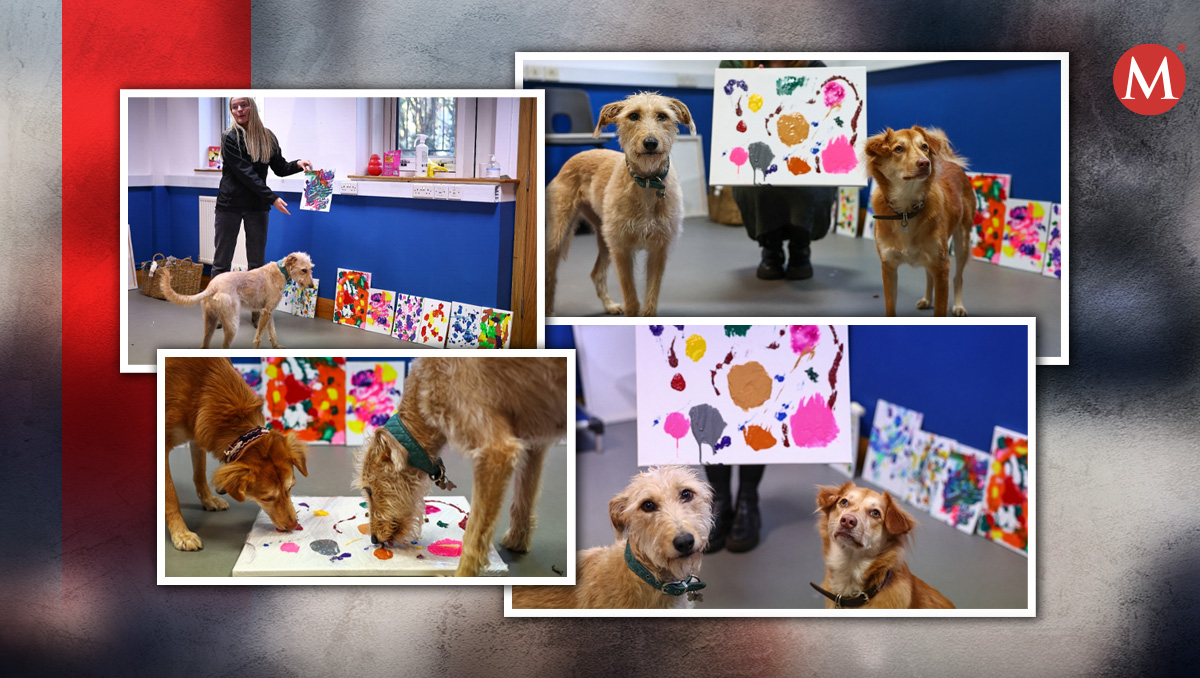 Perritos artistas en Londres| Especial