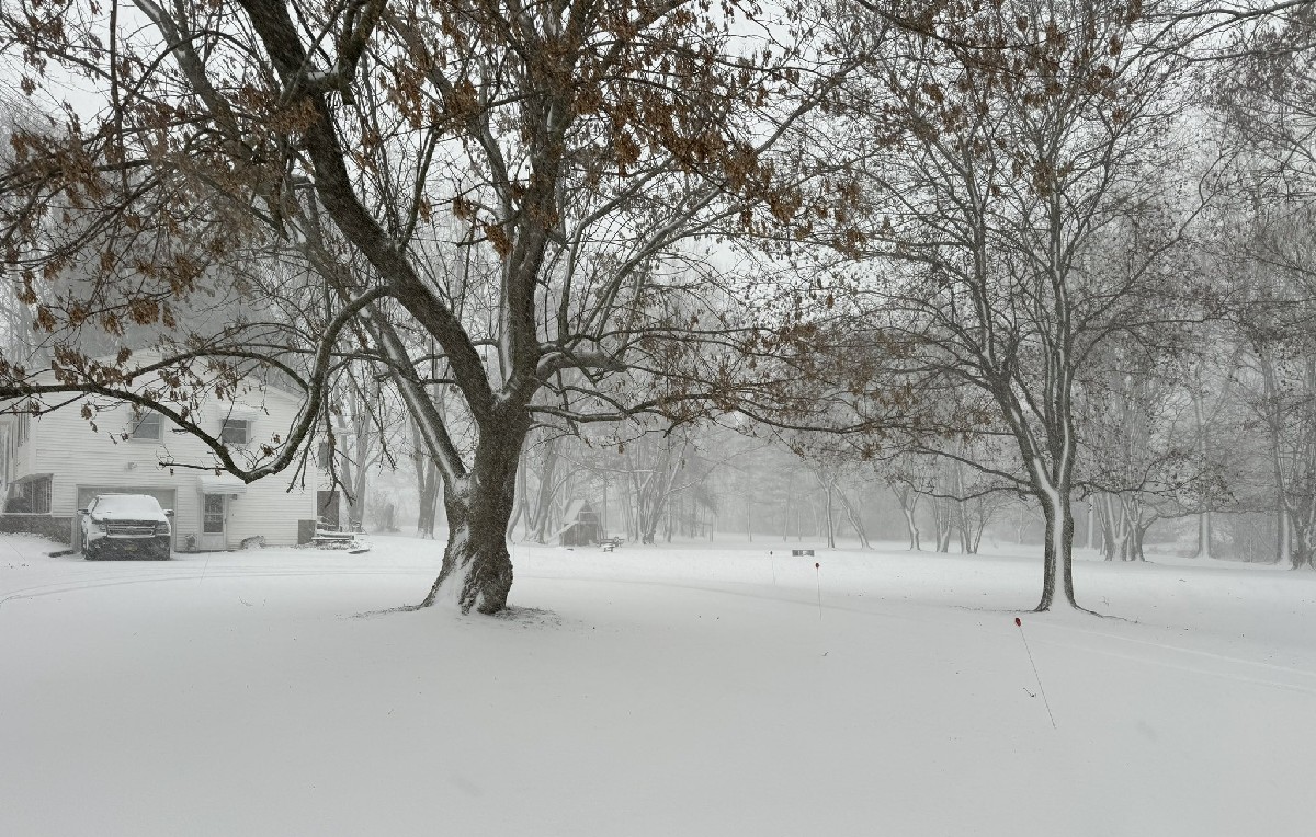 Vecindario de Nueva York cubierto de nieve (X/@LI_Weather516)