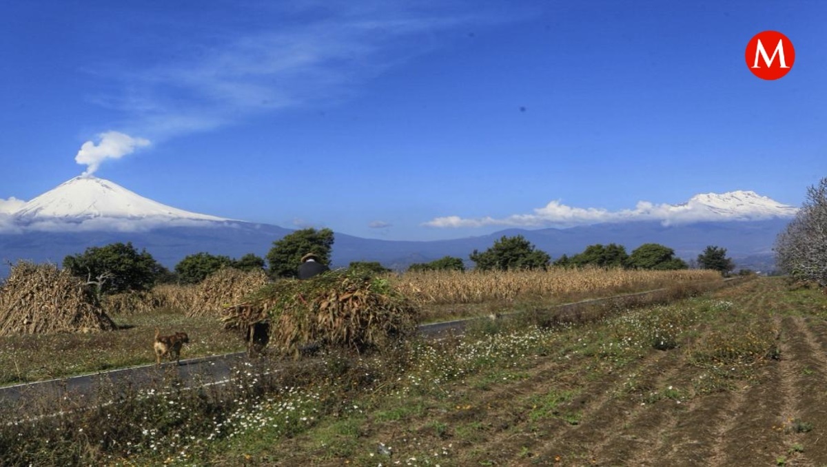 Actividad registrada por volcán Popocatépetl HOY-29 de noviembre 2023 | Andrés Lobato