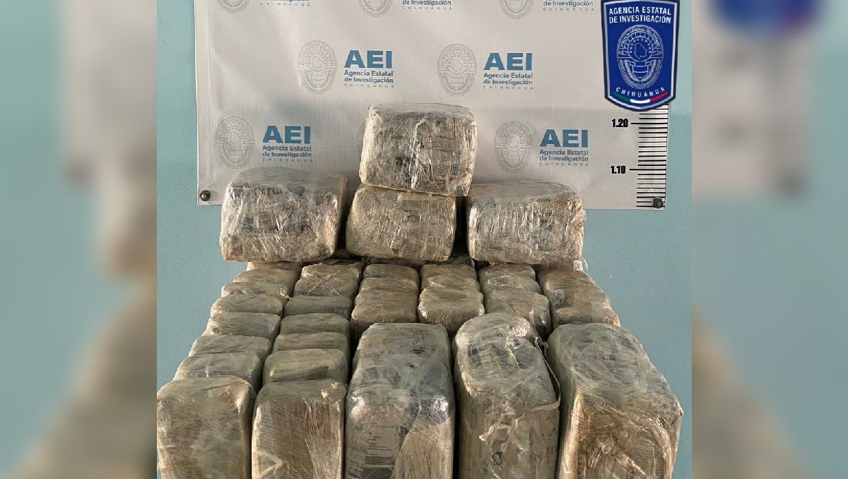 Aseguraron 28.9 kilos de marihuana y destruyeron un campamento en Chihuahua | Especial.