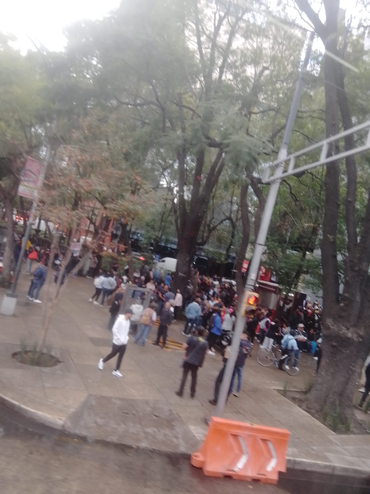 Manfestación en Ciudad de México (Foto: Especial)