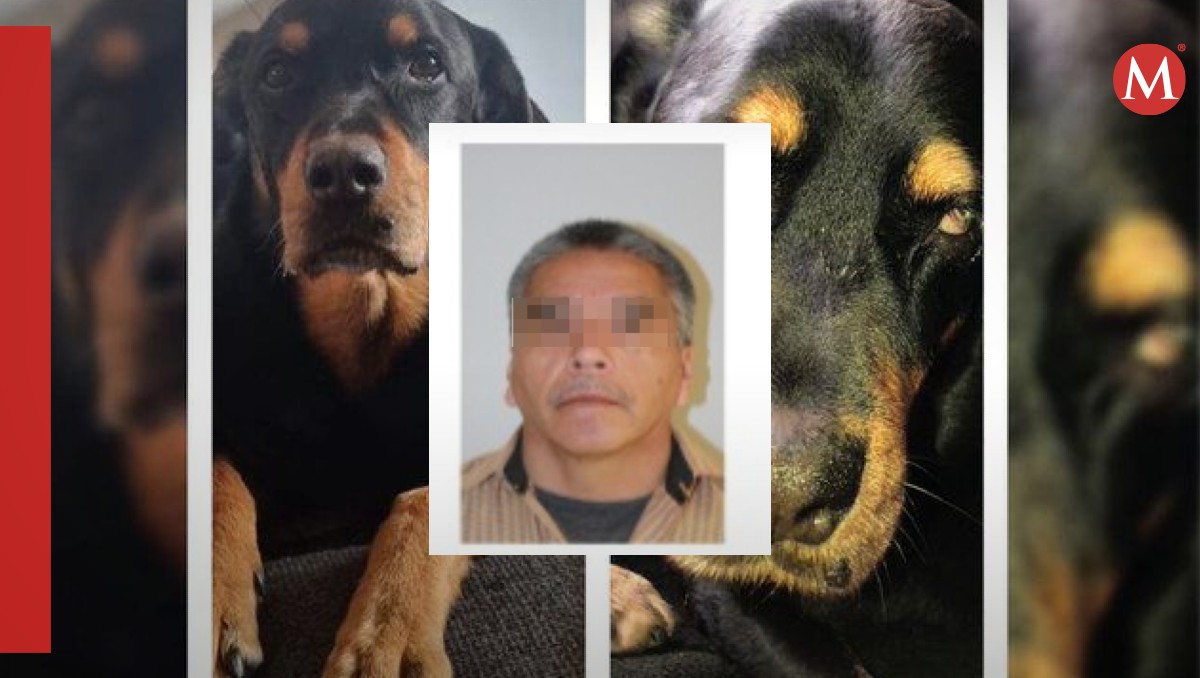 Investigación en Sonora: Maltrato animal a 'Sbanch' desencadena cateo y búsqueda del agresor | FGE