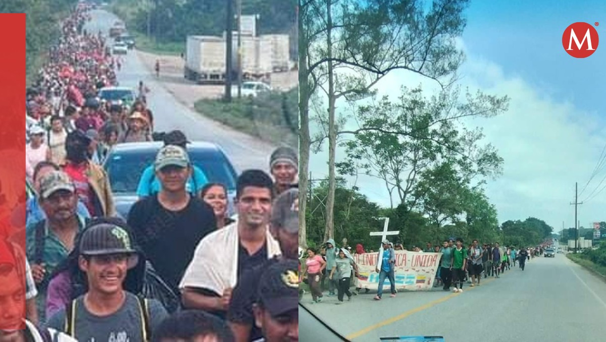 Rescate de 186 migrantes en Veracruz: Operativos policiales exitosos | Isabel Zamudio