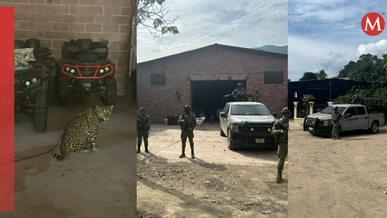 Marina asegura propiedades y fauna exótica durante operativo en Jalisco