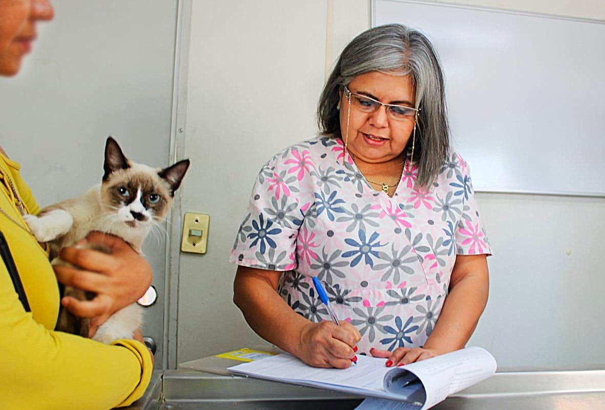Campaña de esterilización gratuita. | Facebook