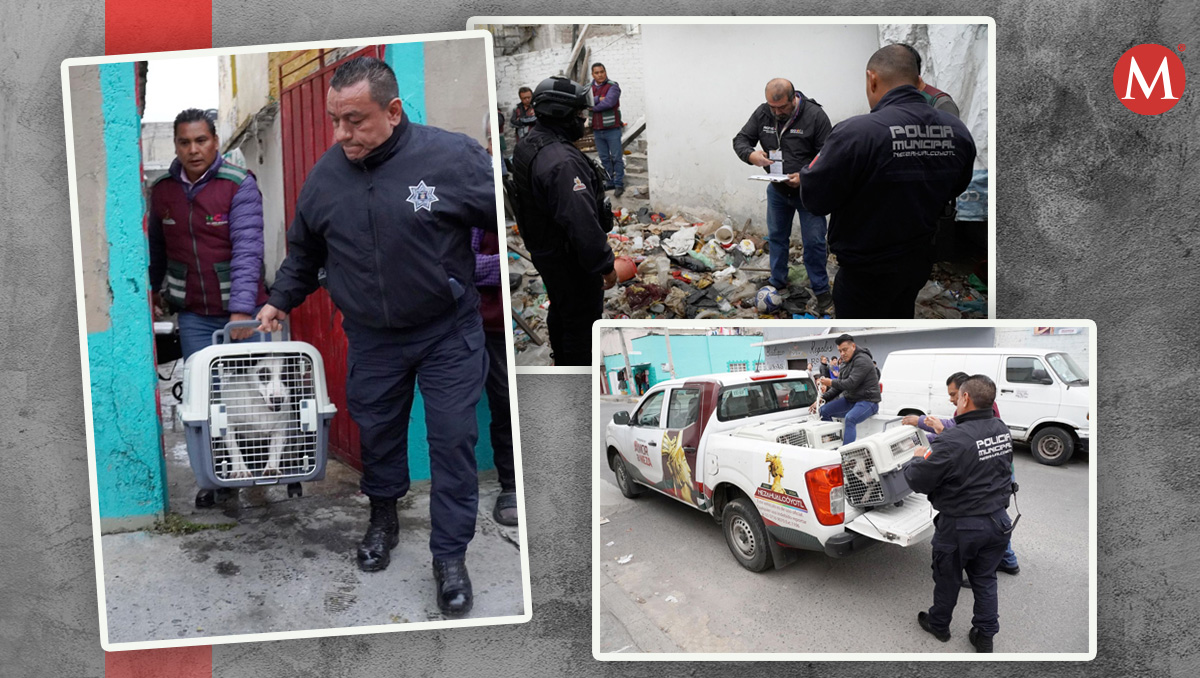 Los hechos ocurrieron en Nezahualcoyótl.| Especiales