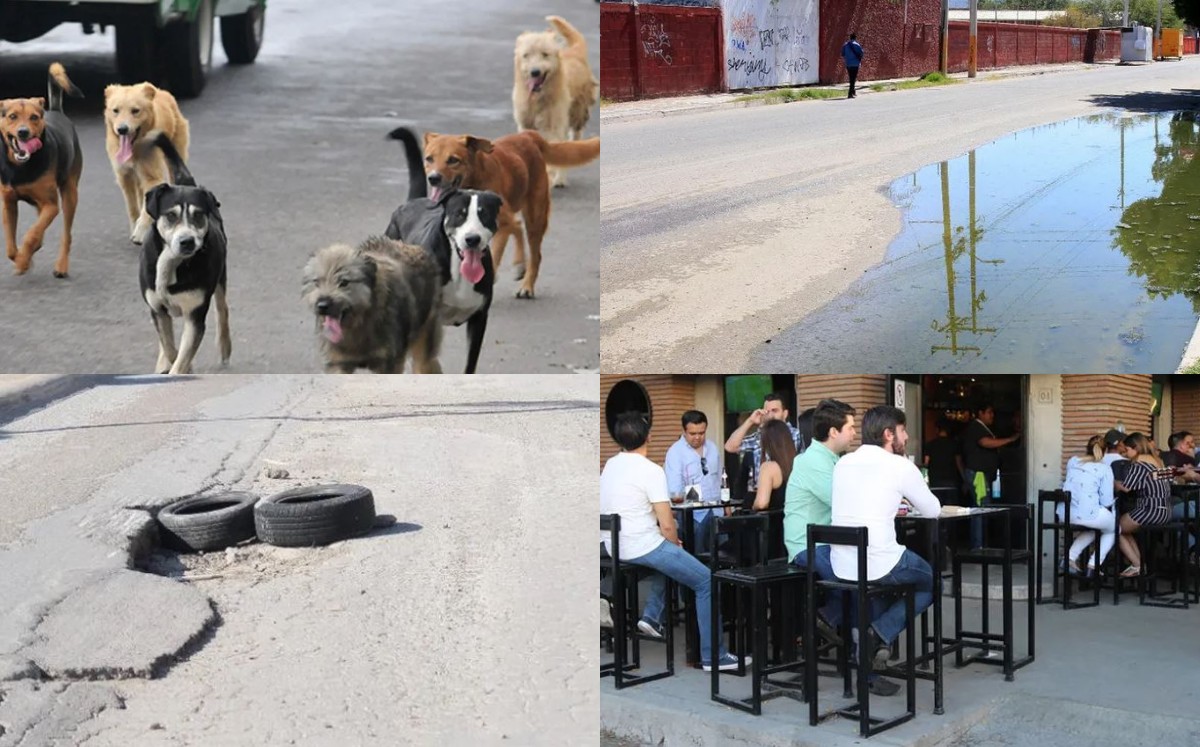 Reprotes ciudadanos en Torreón. (Especial)