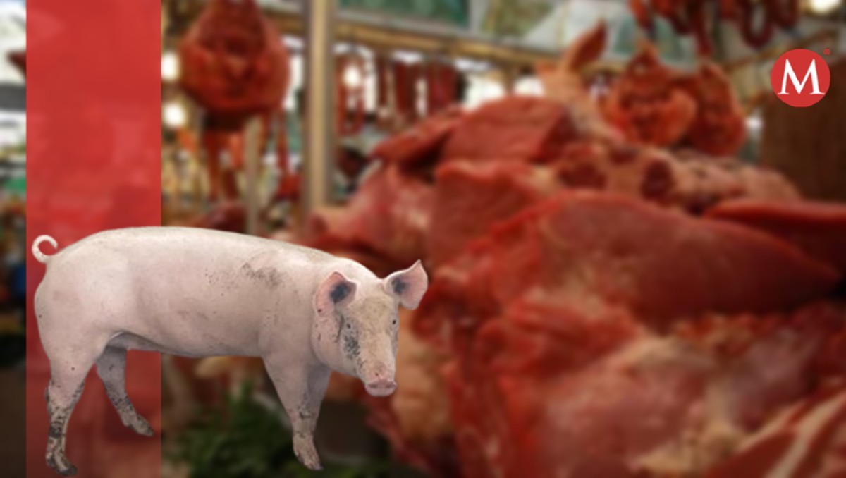 Alertan por consumo de carne de cerdo en sur de Tamaulipas