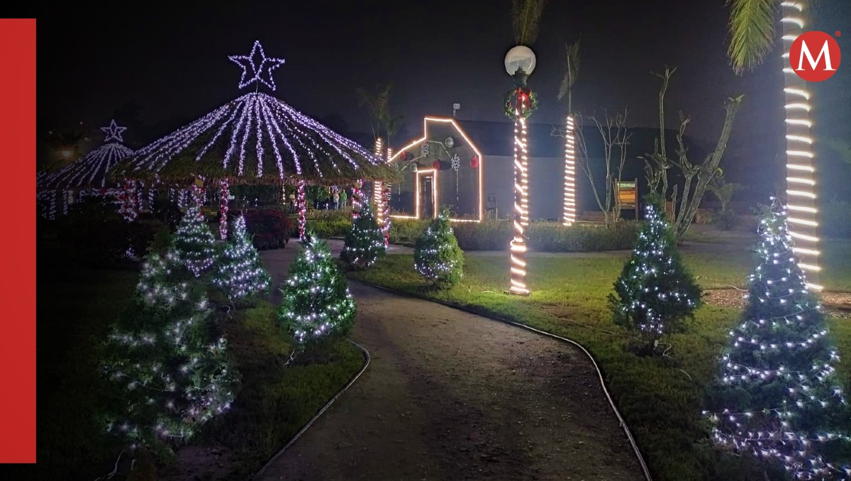Vivero de Tampico en navidad. | Foto: Jaime Maya
