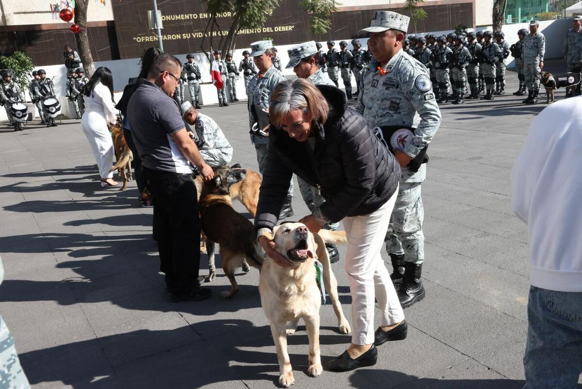 Perros pertenecientes a la GN fueron jubilados.