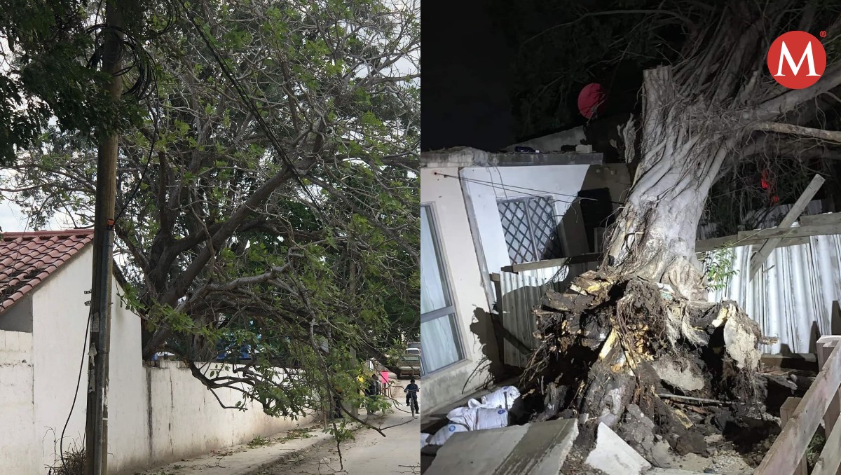 Frente frío 16 causa destrozos en colonias del sur de Tamaulipas