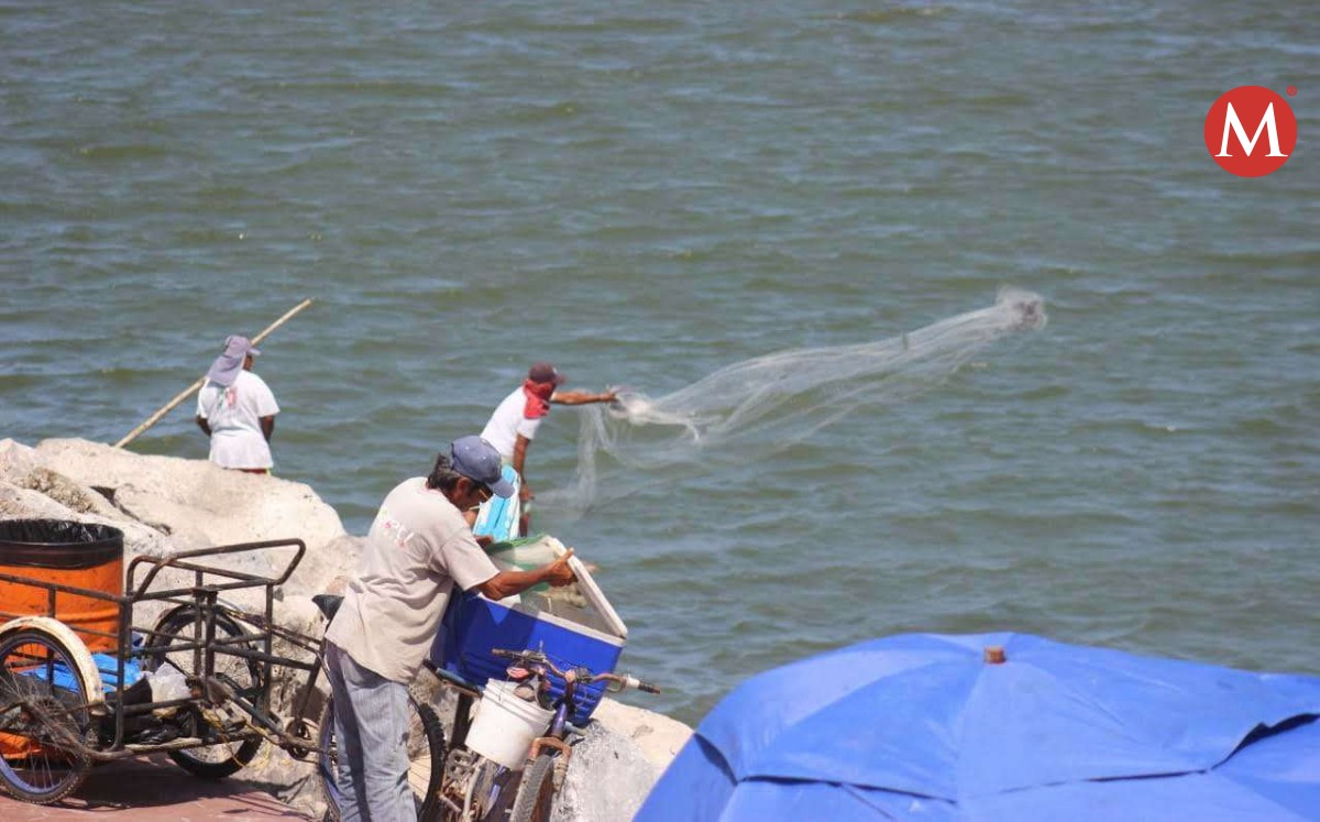 Por fuerte oleaje pesca se detuvo en Pueblo Viejo al norte de Veracruz