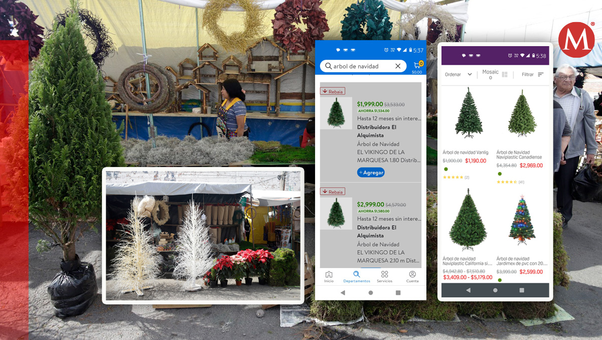 Dónde comprar el árbol de Navidad en Puebla | Especial | Diseño Milenio
