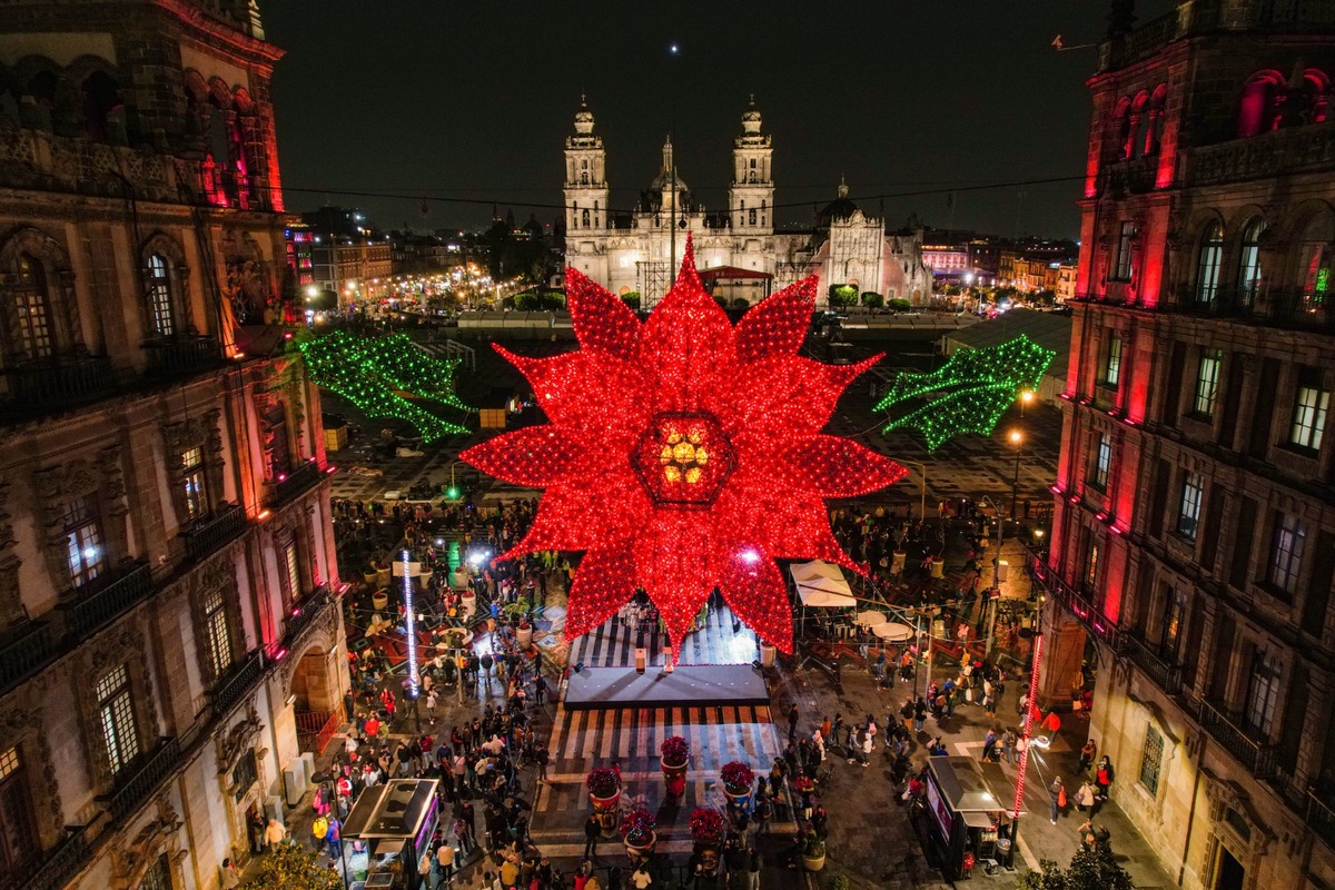 Era una flor de nochebuena
