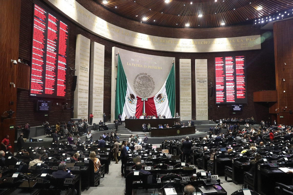 Cámara de Diputados. (Especial)