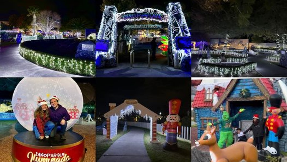 Dinoparque iluminado en Pachuca.