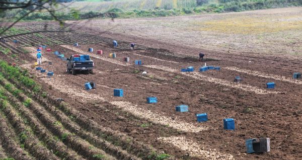 El hostigamiento llega al grado de controlar la compra y distribución. Archivo