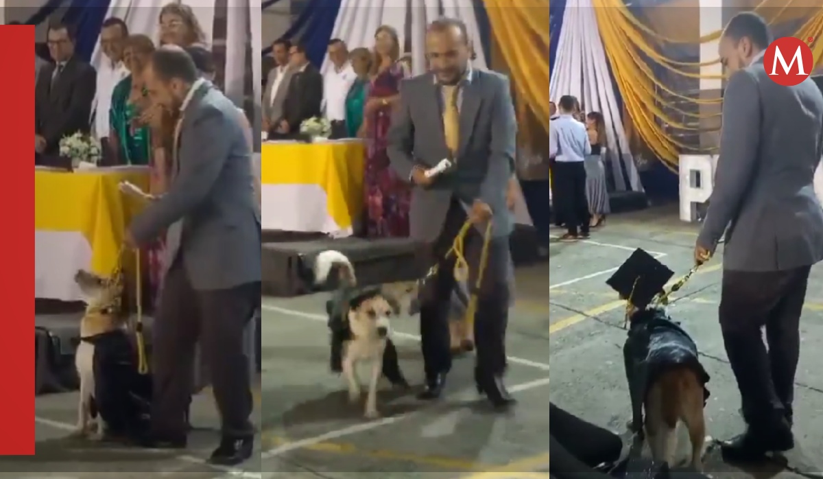 Perrita se gradúa y se hace viral