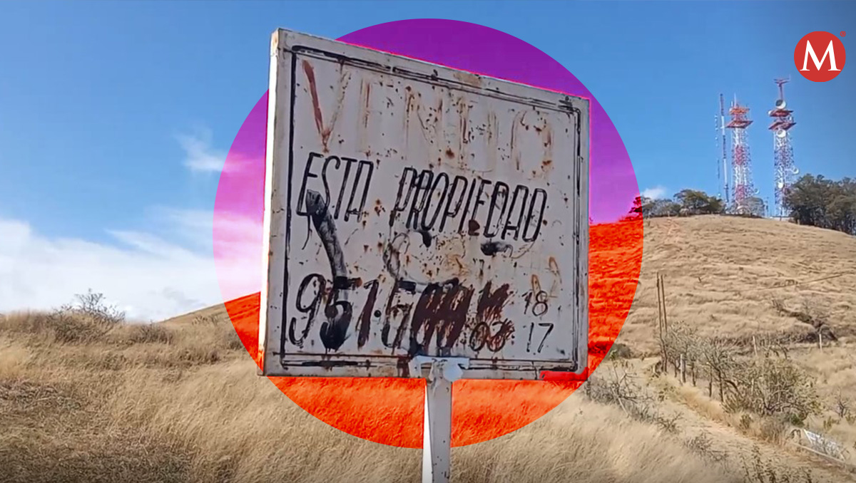 Devastación en zona ecológica de Oaxaca. (Diseño: Margarita Salmorán)
