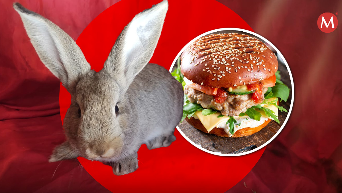 Sí, hamburguesa de Conejo, te contamos | (Diseño: Milenio con foto Iván Carmona)