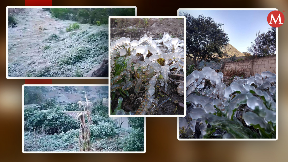Comunidades de Ajalpan quedan cubiertas por capa de nieve, en Puebla | Especial | Diseño Milenio