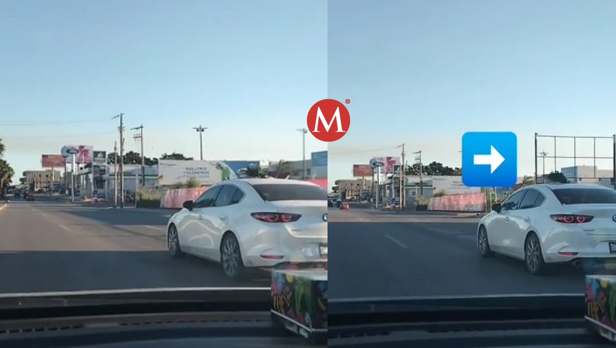 Diminuto pino de Navidad es transportado arriba de auto en Tampico. (@litocruz05)