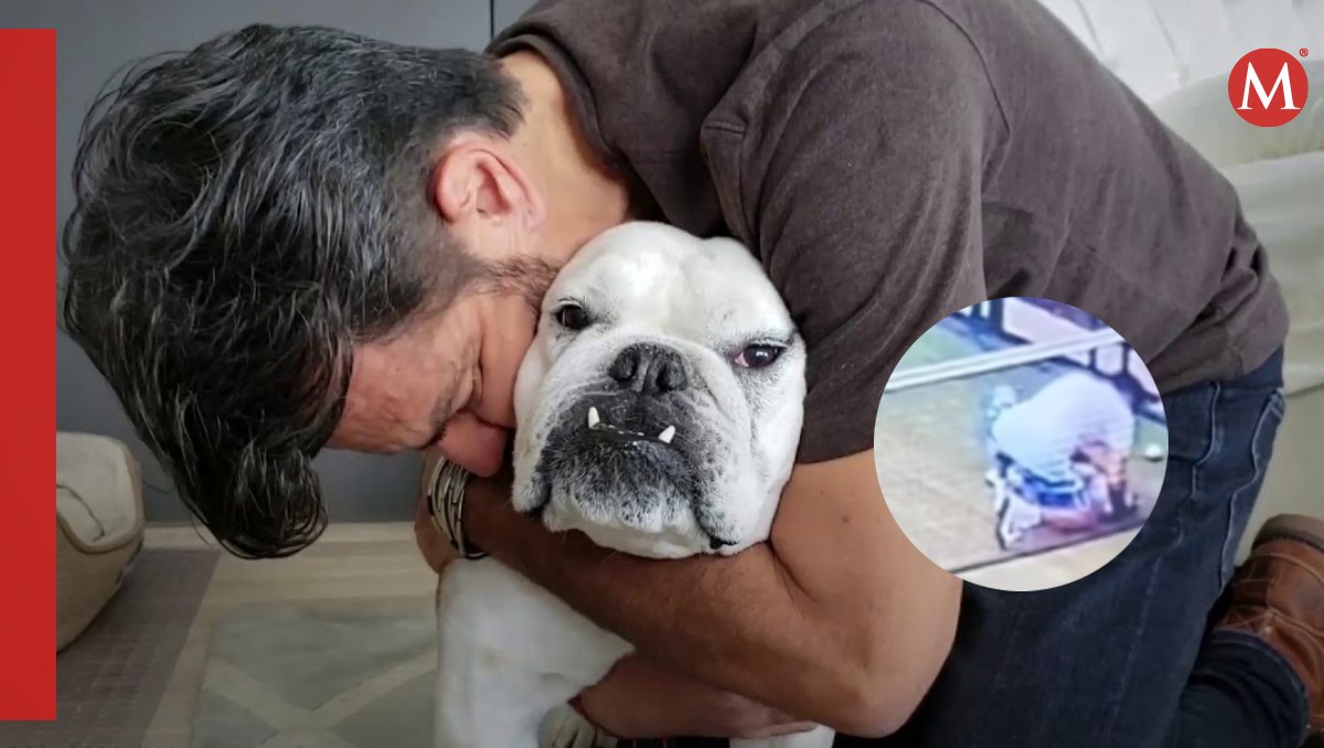 Eugenio Derbez muestra el momento en que su perrita murió