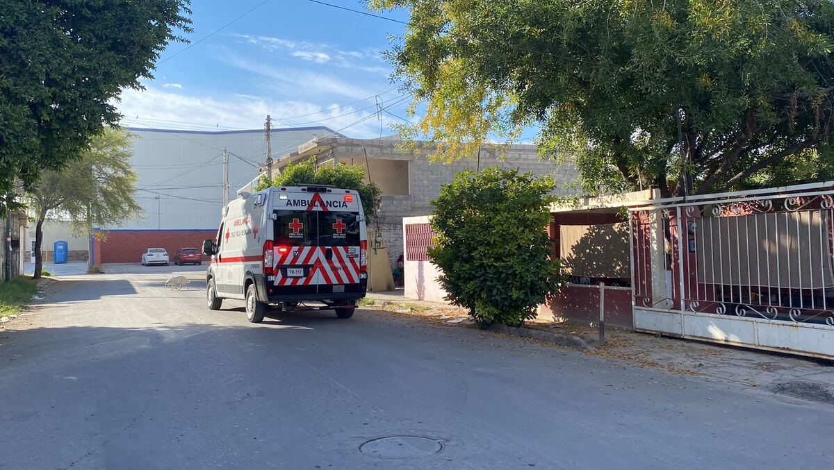 El padre los agredió a golpes y con un arma blanca. (Especial)