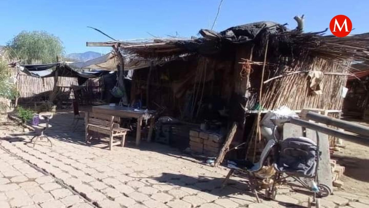 Asesinan a mujer a machetazos en Puebla: indagan posible feminicidio | Especial