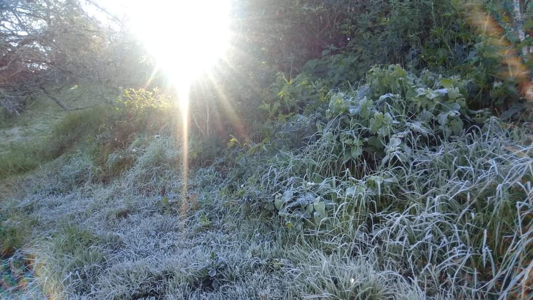 Los municipios con las temperaturas más bajas se ubicaron en la región del valle de Tulancingo (Guadalupe Trejo)