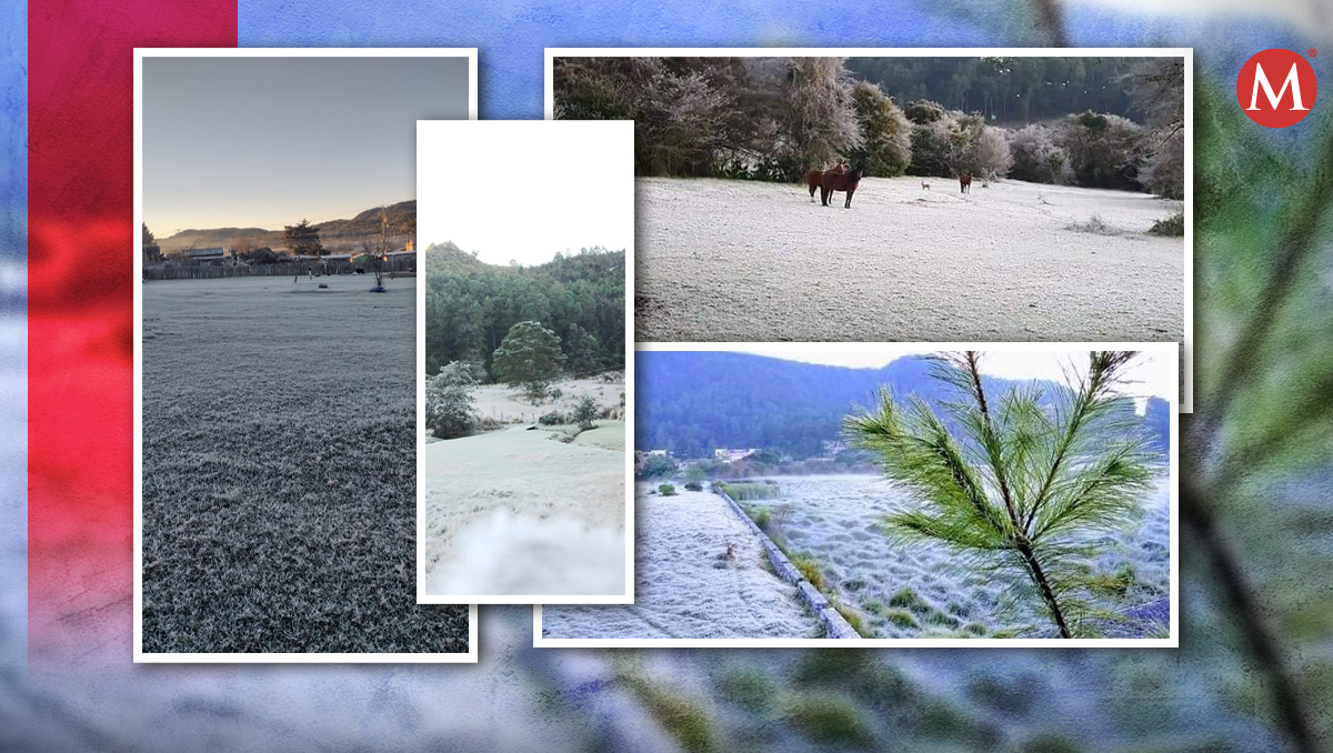 Se registra segunda helada en Chipas; el termómetro alcanzó los -2 grados en las primeras horas. | Especial