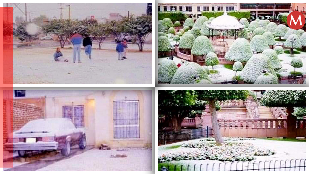 Primera nevada en León: Así lo vivieron muchos ciudadanos | Especial