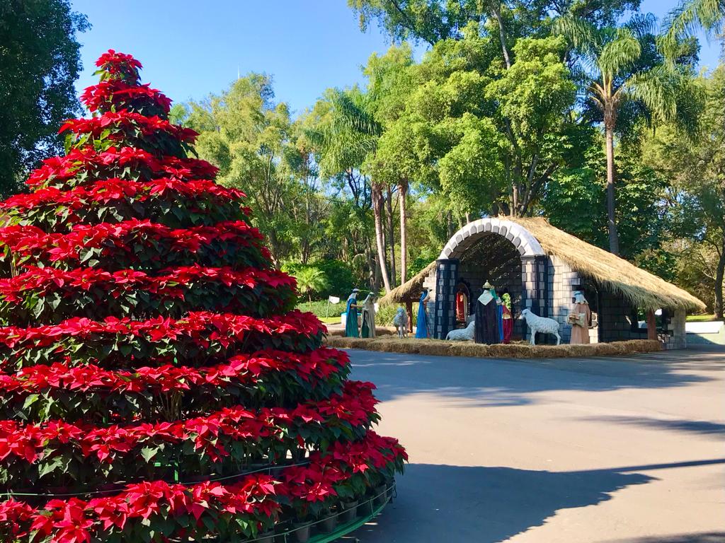Zoológico de Guadalajara cuenta con actividades especiales en fiestas decembrinas (Cortesía)