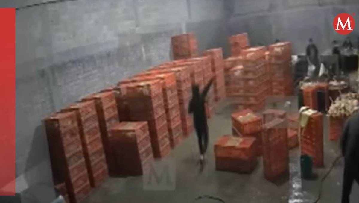Robando Pollos Secuestran a cuatro pollero en Toluca; así fue el momento | VIDEO ...