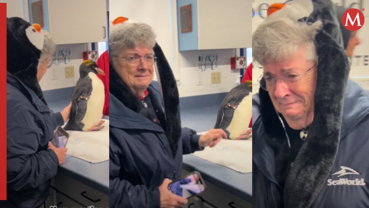 Abuelita llora al conocer pingüinos