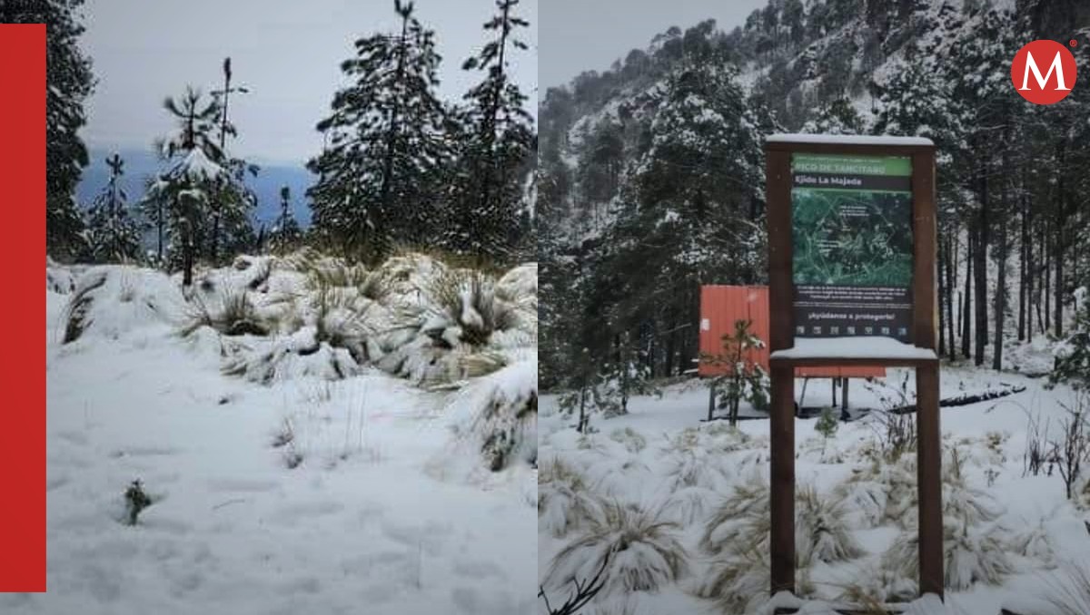 Cerro de Tancítaro testigo de la primera nevada desde 2018 | Elizabeth Guzmán