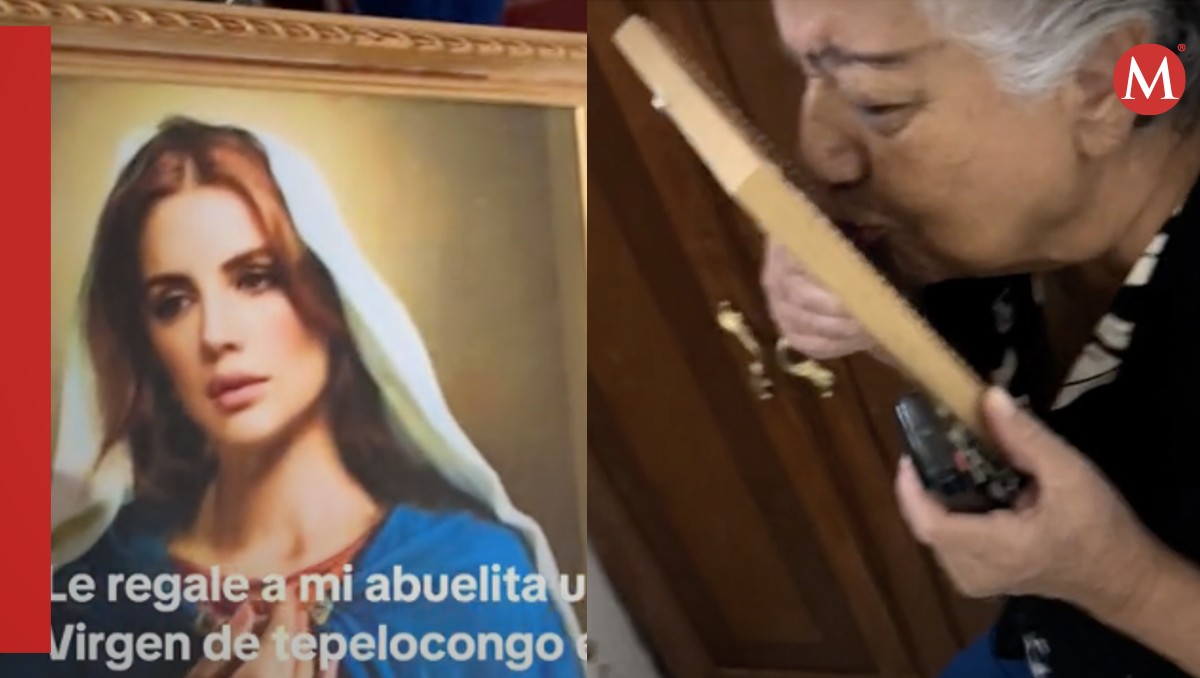 El video se volvió viral en TikTok / Captura