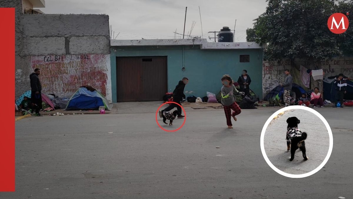 Hay quienes salen de sus países hasta con sus mascotas, emprendiendo este largo y peligroso trayecto, tal es el caso de Nancy Rey.