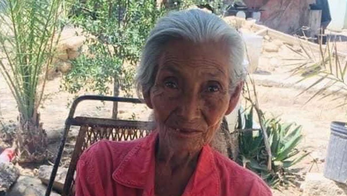 Elvia Ramírez Torres | Especial