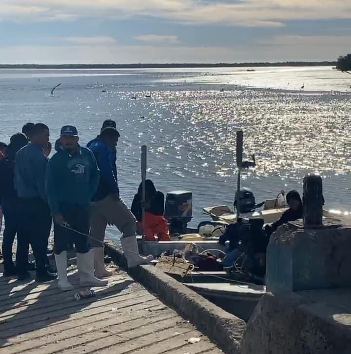 Ataque de tiburón en Sonora