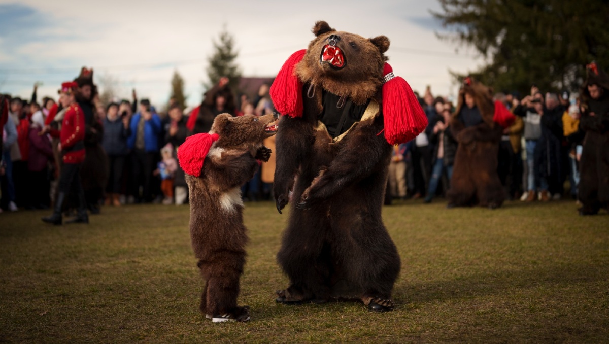 Participan personas de todas la edades en el Festival del Baile del Oso. Foto: (AP)