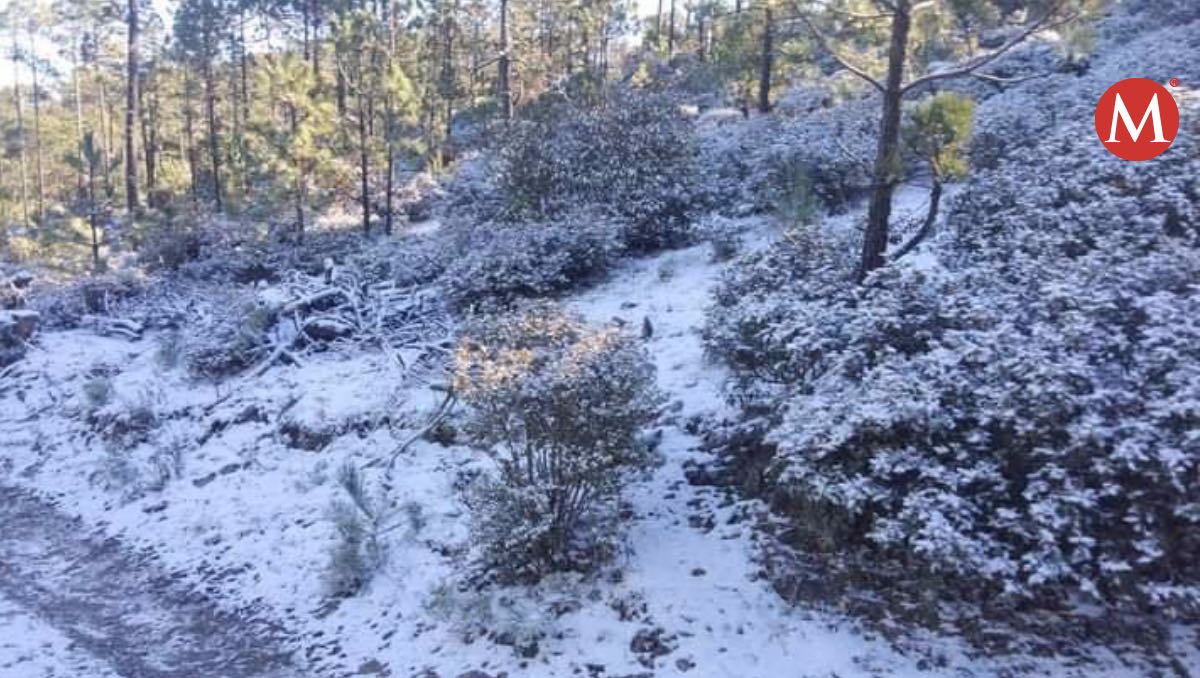 Se registra caída de nieve en Tamaulipas hoy 30 diciembre 2023. (PC Tamaulipas)