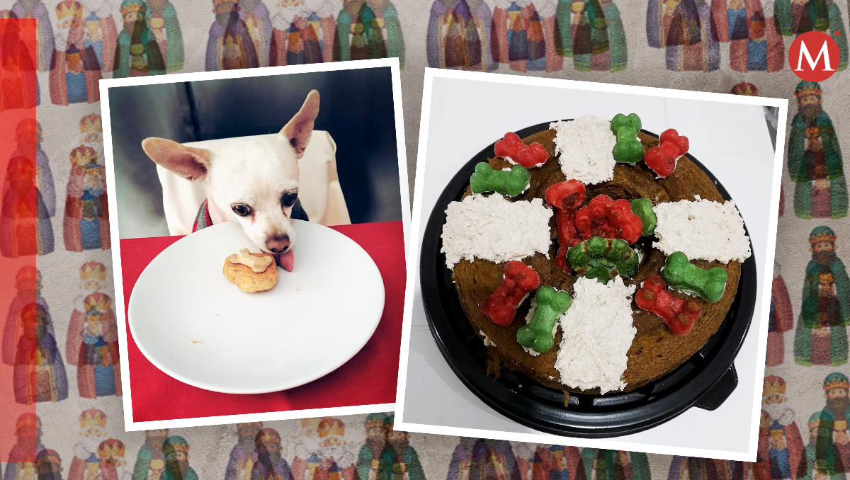 Ahora las mascotas podrán comer rosca de Reyes con esta opción.