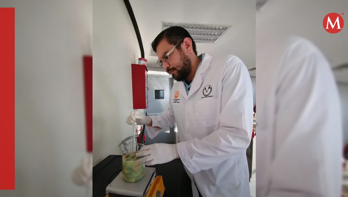 Estudian plantas con potencial insecticida en la UAT.