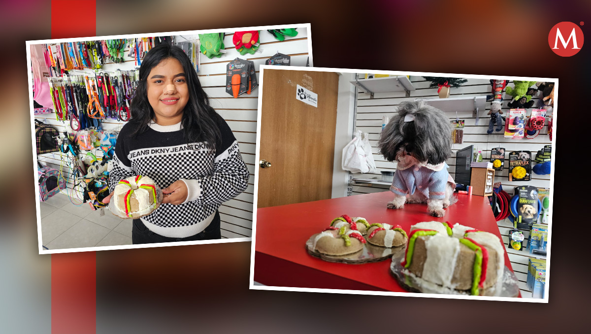 Así las mascotas podrían disfrutar su Rosca de Reyes. Fotos: Fabricio Gallegos