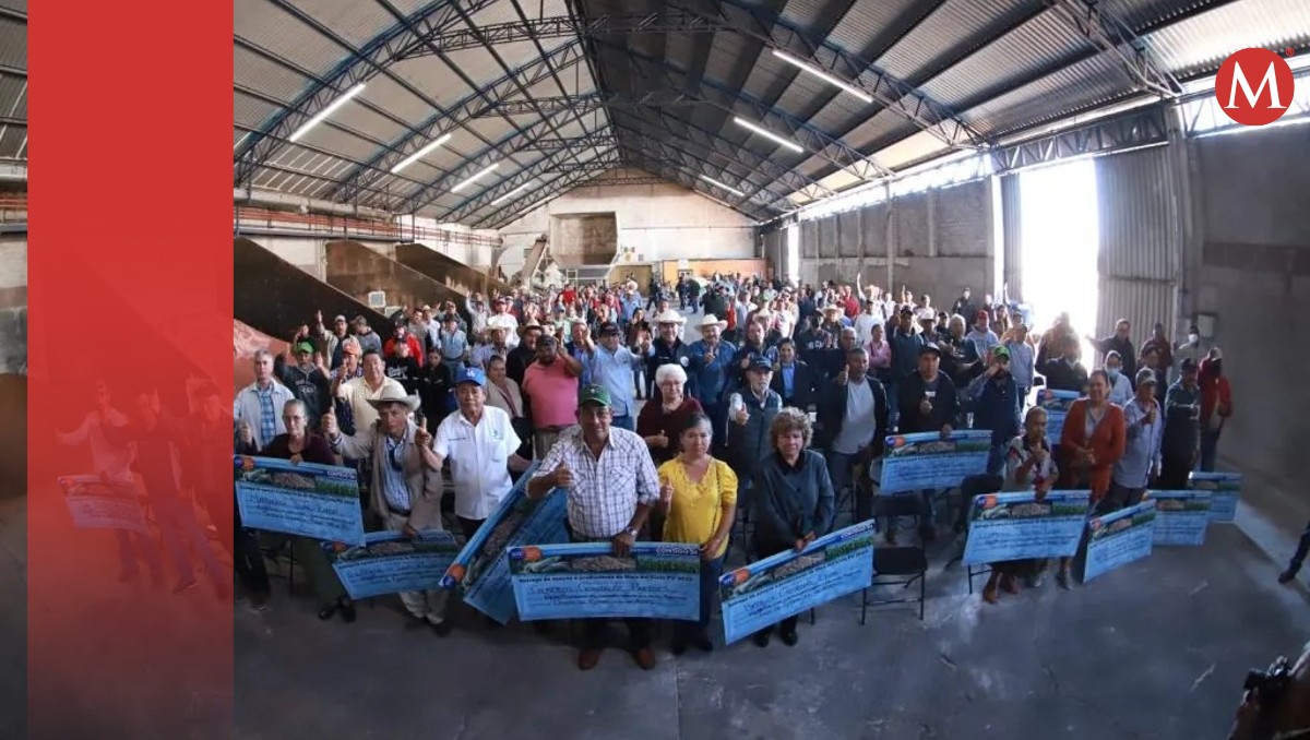 Valle de Santiago: SDA entrega apoyo de 4 mdp a productores de maíz | Especial